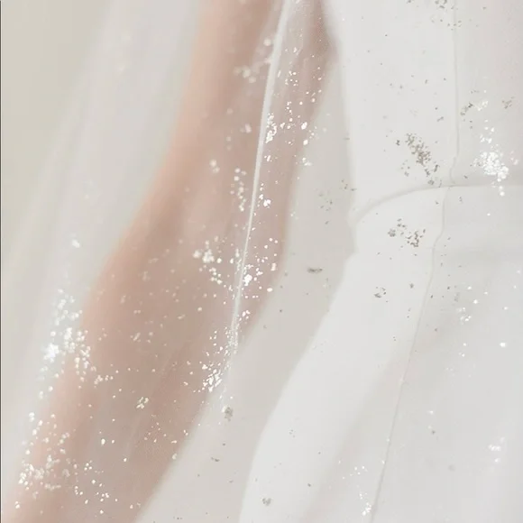 CUSTOM MADE Silver Mica Flake Veil in Ivory display picture 3